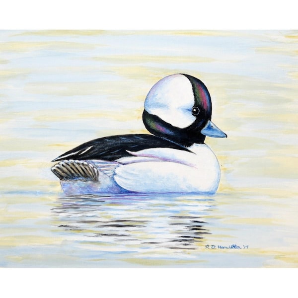 Betsy Drake 18 x 26 in. Bufflehead Duck Doormat DM827 - main